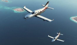 最新爆料的飞机游戏,揭秘最新飞机游戏巅峰之作